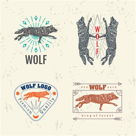 Pack Of Coyotes Illustrations Royalty Free Vector Graphics And Clip Art