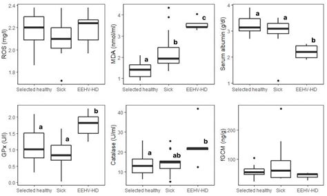 Animals Free Full Text Measures Of Oxidative Status Markers In