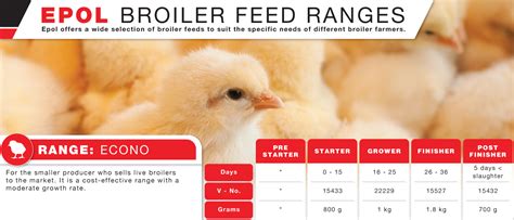 Broiler Chicks Part 3 Unpacking The Different Feeds We Offer Epol