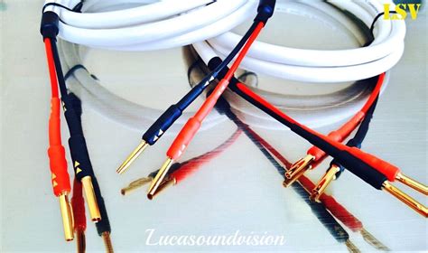 Dh Labs Odyssey Mk Silver Sonic Audio Speaker Cable X M A Pair