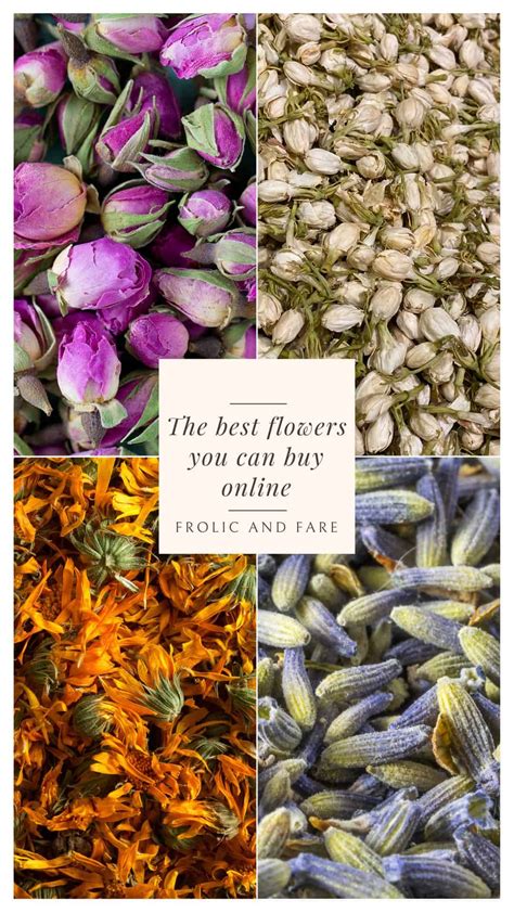 Best Medicinal Flowers You Can Find Online Frolic And Fare