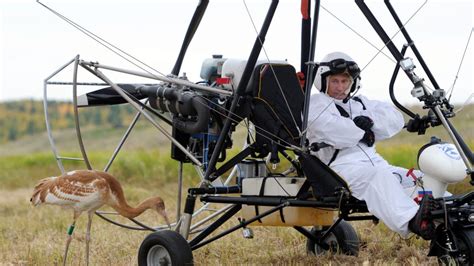 17 Photos of Putin Schmoozing With Animals (Photos)