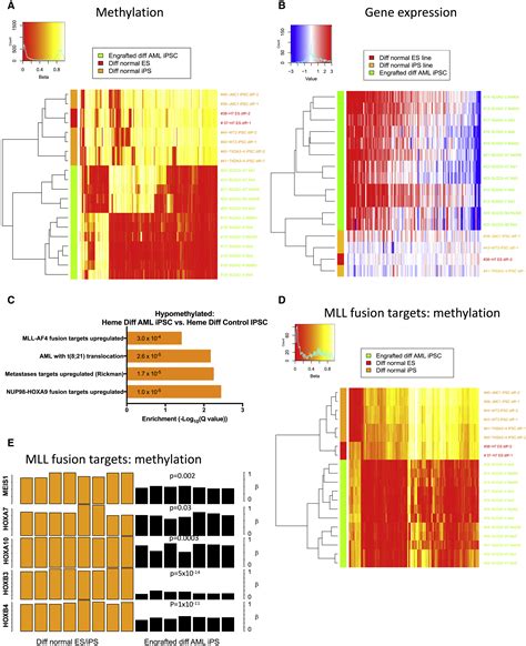 Human AML IPSCs Reacquire Leukemic Properties After Differentiation And