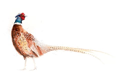 Pheasant Painting And Pheasant Art A Little Behind The Scenes Look At