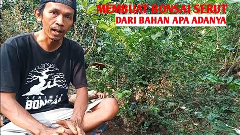 Membuat Gerak Dasar Lanjutan Pada Bonsai Serut Hasil Tanam Akar YouTube