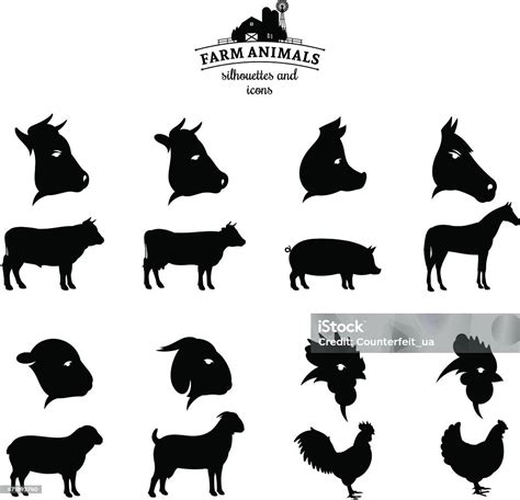 Vector Farm Animals Silhouettes And Icons Isolated On White Stock