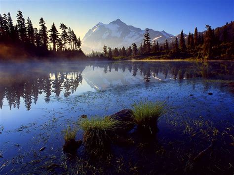 Mt Baker Snoqualmie National Forest Besneeuwde Bergen Natuur