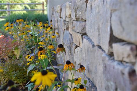 Chief Cliff Wall - Brickline Pavers