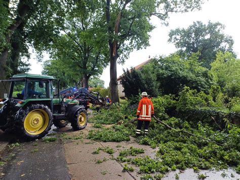 Umgest Rzte B Ume Besch Ftigen Feuerwehr L Neburg Aktuell