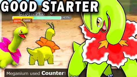 Meganium Is Finally Good In Pokemon Scarlet And Violet Youtube