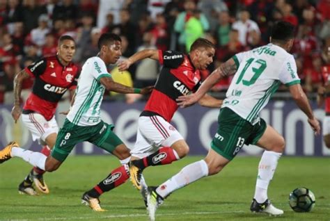 Palmeiras X Flamengo Hist Rico Do Confronto Mais Palmeiras O