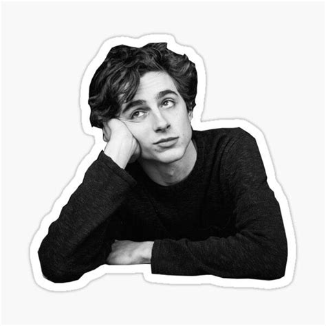 Timothee Chalamet Stickers Unique Designs