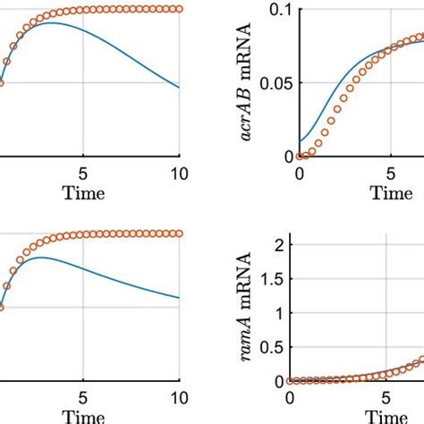 Asymptotic Approximations On Timescale 6 Download Scientific Diagram