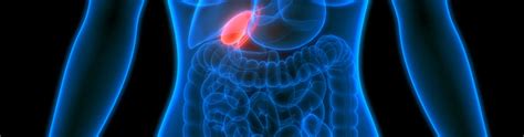 navigating gallbladder health  role   gallbladder specialist