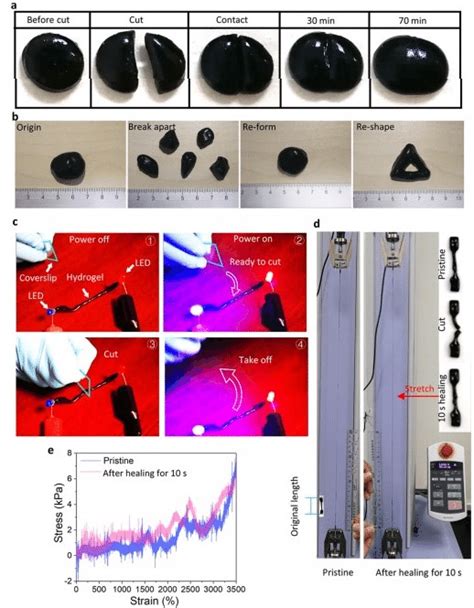 Methods To Confirm Self Healing Ability Of Hydrogel A Cut Heal