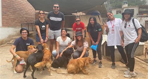 Visitas Solidarias Conoce Un Albergue De Perros Junto A WUF WUF