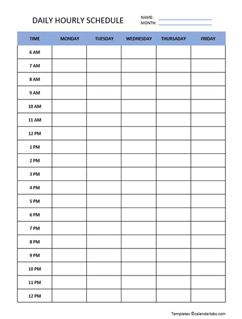 Daily hourly schedule template
