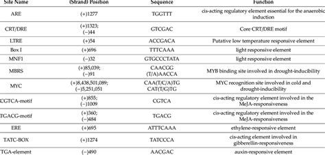 Stress Related Cis Acting Regulatory Elements Identified In The