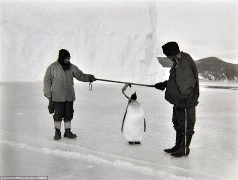 Rare Photos Of Captain Scotts Terra Nova Expedition Go Up For Sale