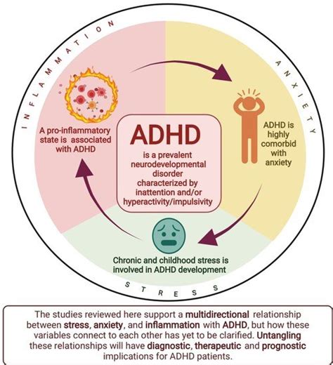 Biomedicines Free Full Text Inflammation Anxiety And Stress In Attention Deficit