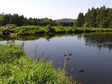 Rund um den Großarmschlager Stausee ab Haltestelle Großarmschlag