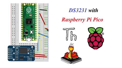 Raspberry Pi Pico Interface With DS3231 RTC Thonny Python Tamil Shorts