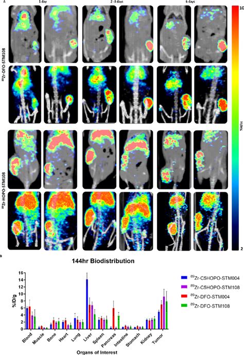 A PET CT Imaging In Vivo Of 89 Zr DFO STM108 And 89 Zr C5HOPO STM108