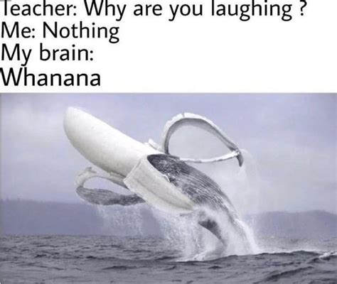 Why Are You Laughing Meme By Xheeintu Memedroid