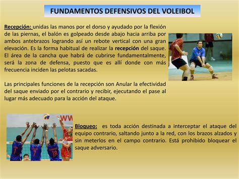 Total Imagen Cuales Son Las Reglas Y Fundamentos Del Voleibol