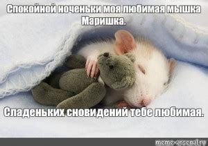 Создать мем "две крыски, милые мышата, милые крысята" - Картинки - Meme ...