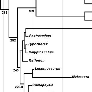 Phylogenetic Relationships And Divergence Times Among The Species Of