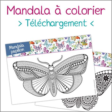 T L Chargement Mandala Papillon Le Blog Savoirsplus