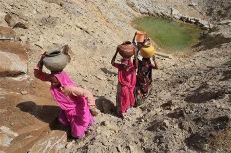 How An Arid Rajasthan Village Turned Into A Desert Oasis Jaipur