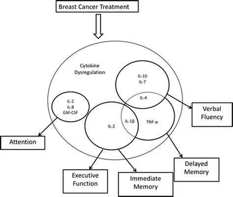 Identifying Cytokine Predictors Of Cognitive Functioning In Breast Cancer Survivors Up To 10