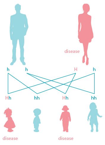 Genetics Examples