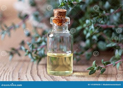 A Bottle Of Thyme Essential Oil With Fresh Thyme Twigs Stock Photo