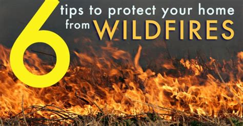 Wildfire Nutrition Information Besto Blog