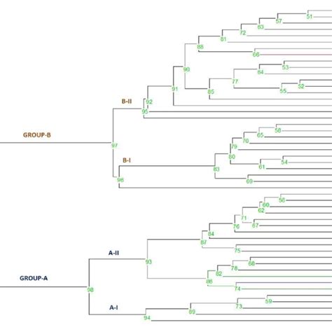 Dendrogram Generated From An Unweighted Pair Group Method Analysis