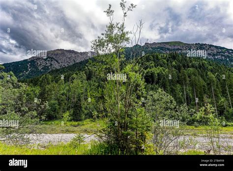 Großer Alpsee das vielseitige Naturerlebnis im Oberallgäu der Große