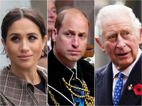 What Meghan's Mole on Twitter Means for the Royal Family - wlehrhq