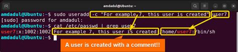 The Useradd Command In Linux Practical Examples