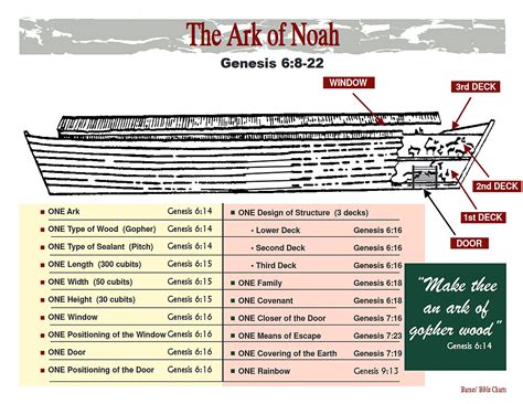 The Ark Of Noah Bible Study Scripture Understanding The Bible Bible