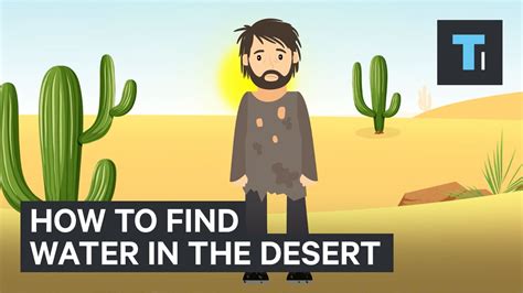 How To Find Water If You Re Ever Stuck In A Desert YouTube