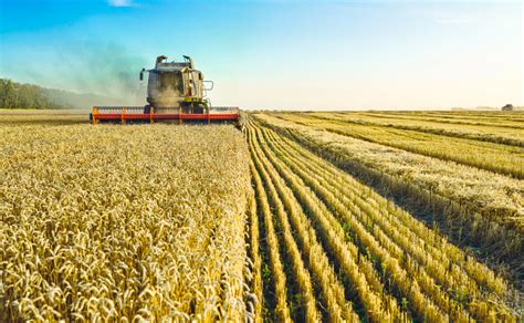 Comment l'agriculture influence-t-elle la biodiversité