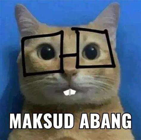 Pin By Rinda On Funny Meme In 2022 Kartun Gambar Lucu Meme Kucing