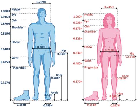 Design And Control Of Hybrid Actuation Lower Limb Exoskeleton