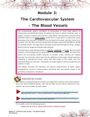 Numc B Module Cardiovascular System The Blood Vessel Lesson