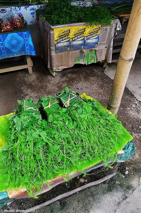 Nicolas Weydert Thailande 2016 159 Marché de la forêt Nicolas