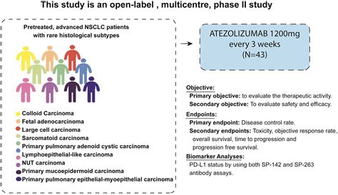 Atezolizumab In A CoHort Of Pretreated Advanced Non Small Cell Lung