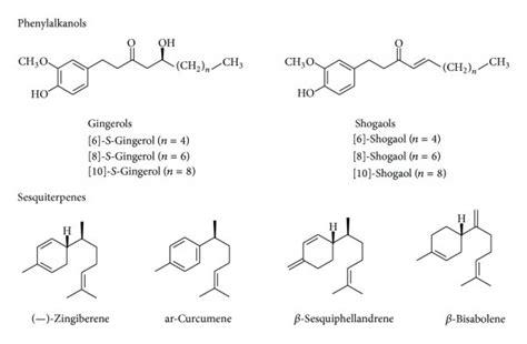 Chemical Structures Of Components Of Zingiber Officinale Download